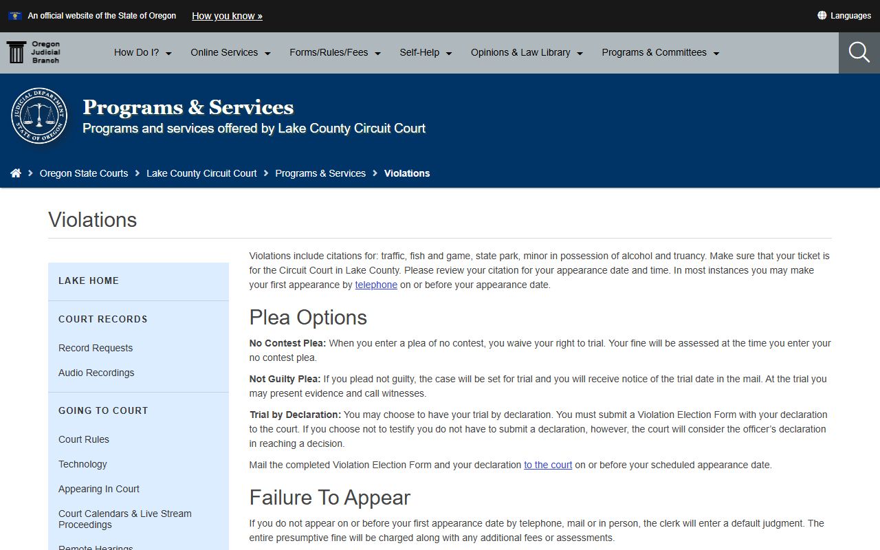 Lake County traffic court records violations procedure page
